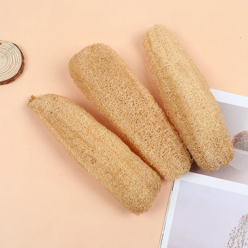 Natural Biodegradable Loofah Sponge - Multi-Purpose Exfoliating Scrubber for Shower, Kitchen, & Bathroom