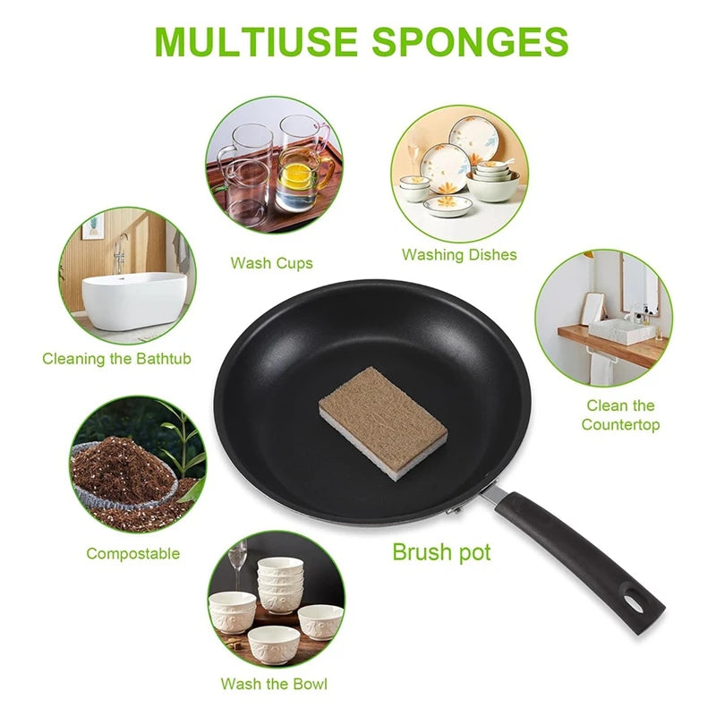 Eco-Friendly Biodegradable Kitchen Sponges - 12-Pack Natural Dish Sponges with Compostable Coconut Scrubber