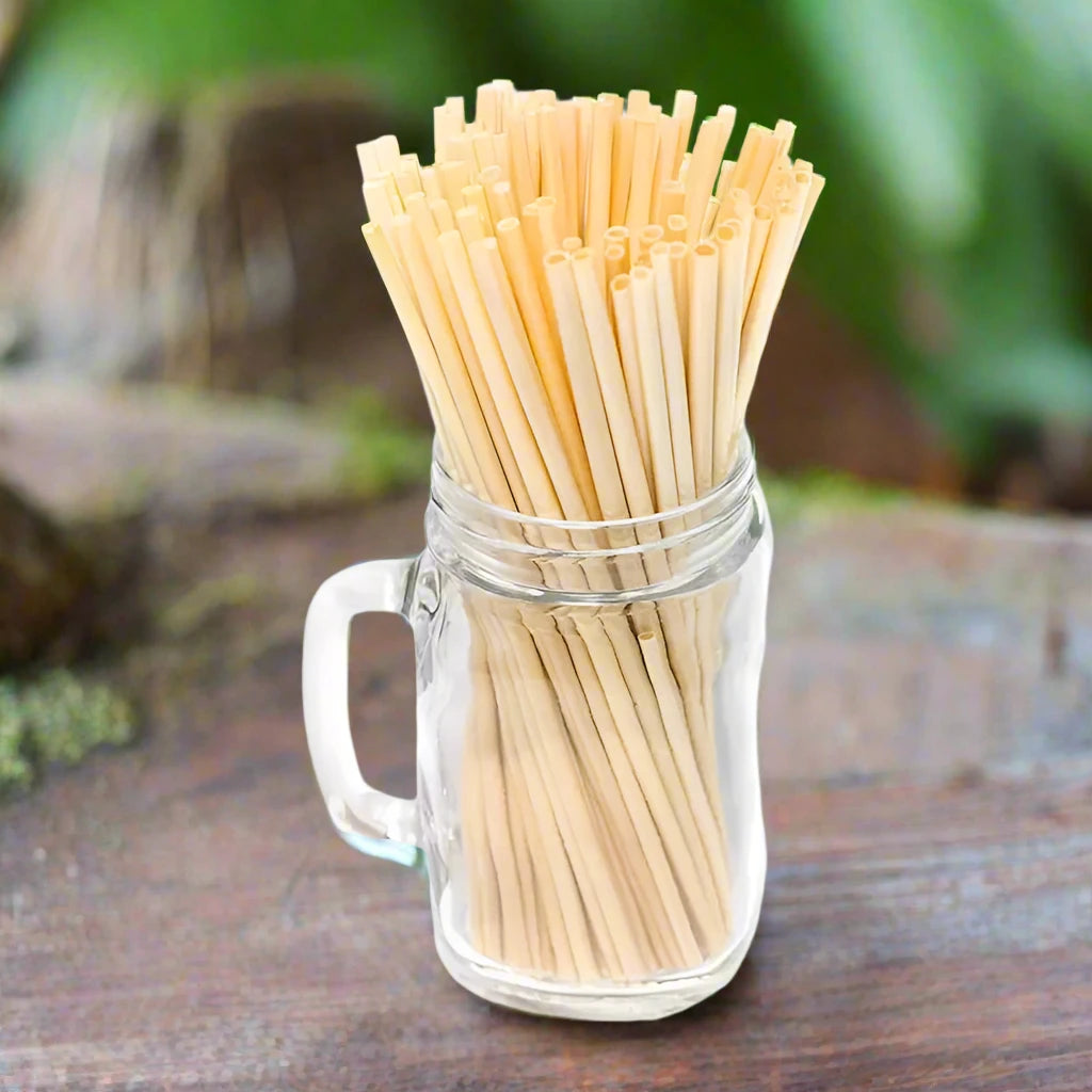 100% Natural Bamboo Straws – Reusable & Eco-Friendly 100pc