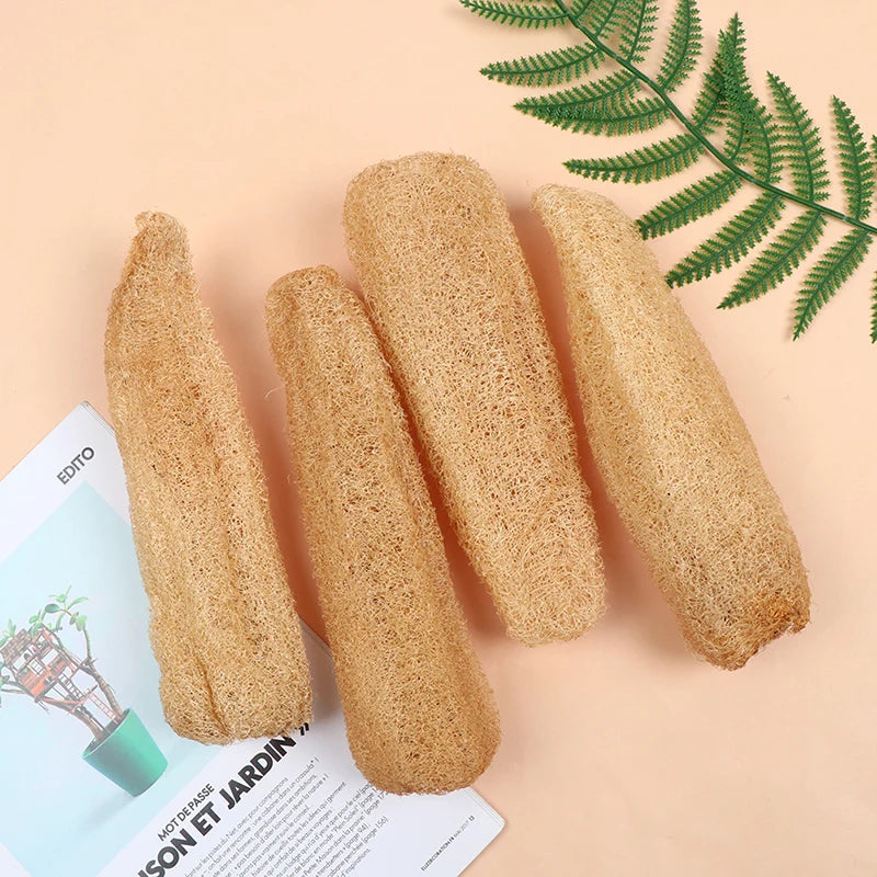 Natural Biodegradable Loofah Sponge - Multi-Purpose Exfoliating Scrubber for Shower, Kitchen, & Bathroom