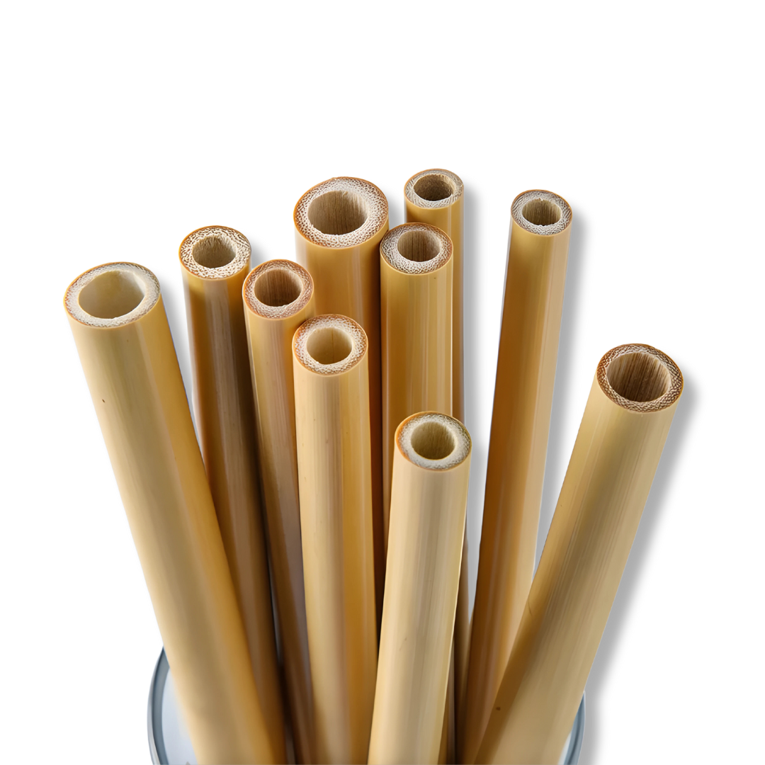 Reusable Bamboo Straw Set – Eco-Friendly with Cleaning Brush 1/2/4/10pc Sets