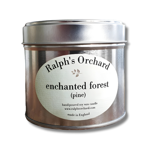 Organic Vegan Enchanted Forest Scented Candle – Pine-Fresh Winter Escape