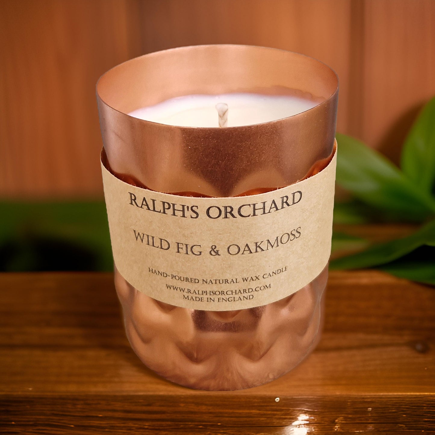 Wild Fig & Oakmoss Scented Candle-3