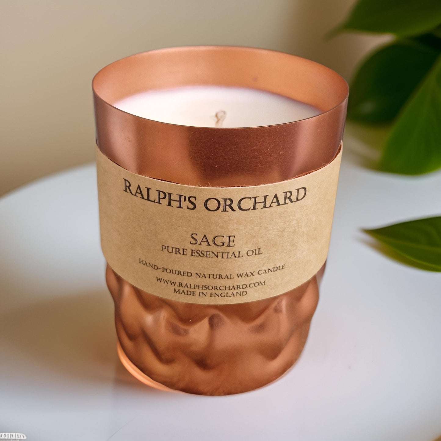 Sage Purification Candle-4